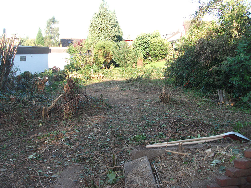 45+ Garten Roden, Das unkraut steht meterhoch, die bäume sowie